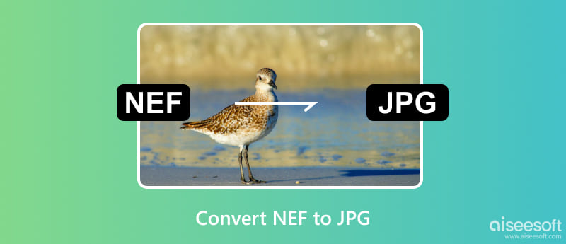 Converter NEF para JPG