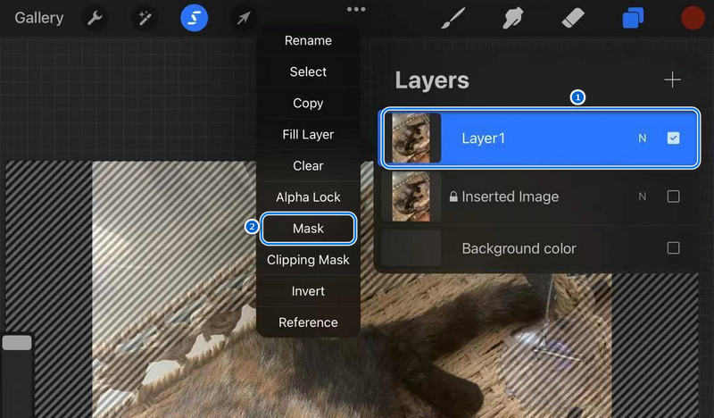 Procreate Create Mask Layer