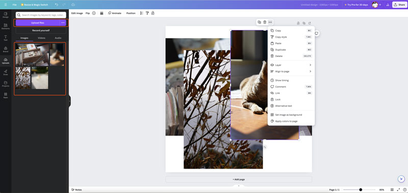 Overlay Images Online Canva