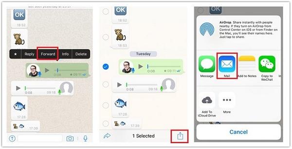 Salvar WhatsApp Audio iPhone