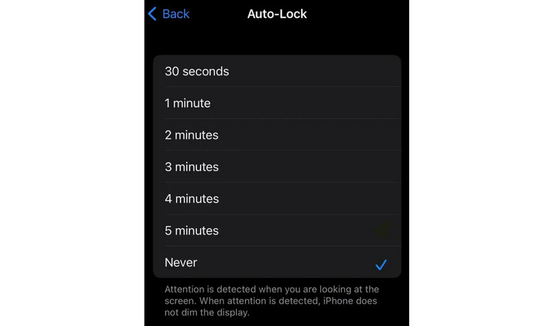 Turn off Screen Timeout iPhone Choose Never