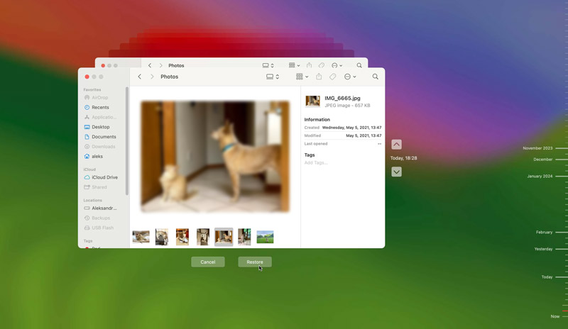 Restaurar fotos excluídas no Mac usando o Time Machine