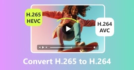 Converter H.265 para H.264