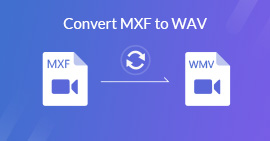 Conversão MXF para WAV