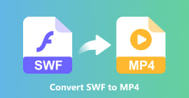 Converter SWF para MP4