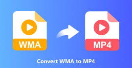 Conversão WMA para MP4