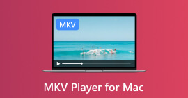 Leitor MKV para Mac