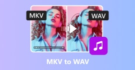 MKV para WAV