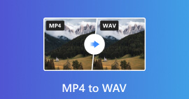 MP4 para WAV