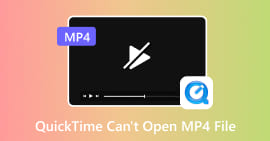 QuickTime não consegue abrir arquivo MP4