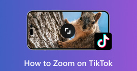 Zoom no TikTok