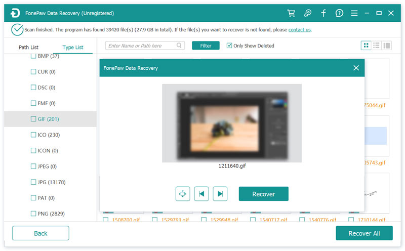 Fonepaw Data Recovery Pré-visualização Recuperar