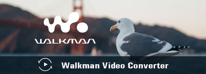 Conversor de Vídeo Walkman